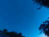 20240613051902-G0018508.JPG