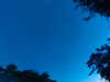 20240613051930-G0018513.JPG