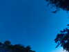 20240613052003-G0018519.JPG