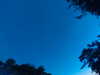 20240613052014-G0018521.JPG
