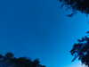 20240613052140-G0018537.JPG