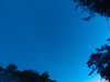20240613052451-G0018574.JPG