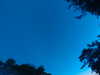 20240613052501-G0018576.JPG