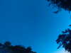 20240613052711-G0018602.JPG