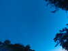 20240613052726-G0018605.JPG