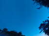 20240613052926-G0018630.JPG