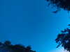 20240613053011-G0018640.JPG