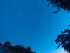 20240613053038-G0018646.JPG
