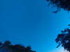 20240613053051-G0018649.JPG
