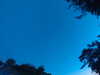 20240613053113-G0018654.JPG