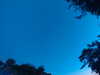 20240613053153-G0018663.JPG