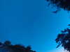 20240613053206-G0018666.JPG