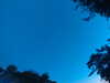 20240613053232-G0018672.JPG