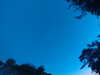 20240613053250-G0018676.JPG