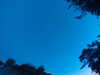20240613053351-G0018690.JPG