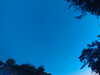 20240613053408-G0018694.JPG