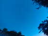 20240613053421-G0018697.JPG