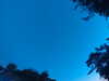 20240613053509-G0018708.JPG