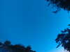 20240613053521-G0018711.JPG