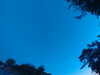 20240613053610-G0018723.JPG