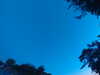20240613053619-G0018725.JPG