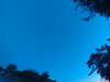 20240613053749-G0018747.JPG