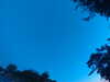20240613053838-G0018759.JPG