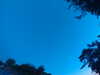 20240613053910-G0018767.JPG