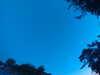 20240613053914-G0018768.JPG