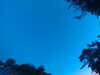 20240613053927-G0018771.JPG