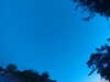 20240613053939-G0018774.JPG
