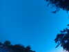 20240613053947-G0018776.JPG
