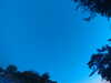 20240613053959-G0018779.JPG