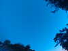20240613054007-G0018781.JPG
