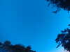 20240613054056-G0018793.JPG