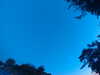 20240613054157-G0018808.JPG