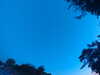 20240613054321-G0018829.JPG