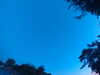 20240613054340-G0018834.JPG