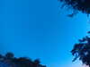 20240613054344-G0018835.JPG