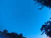 20240613054404-G0018840.JPG