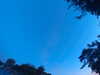 20240613054555-G0018868.JPG