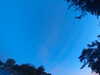 20240613054627-G0018876.JPG
