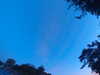 20240613054714-G0018888.JPG