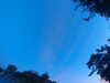 20240613054718-G0018889.JPG