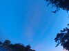 20240613054750-G0018897.JPG