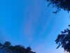 20240613054905-G0018916.JPG