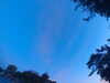 20240613054909-G0018917.JPG