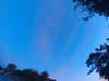 20240613054937-G0018924.JPG