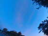 20240613054948-G0018927.JPG
