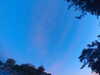 20240613055000-G0018930.JPG